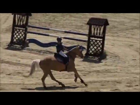 Malu (7) und Duebaree - Springreiterwettbewerb in Andernach am 07.05.2016