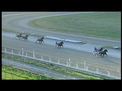 Trotto 26/07/2020 - 2ª prova di qualifica