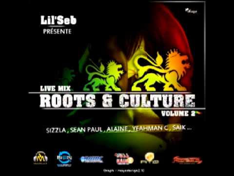 Roots & Culture Volume 2 - Dj Lil'Seb