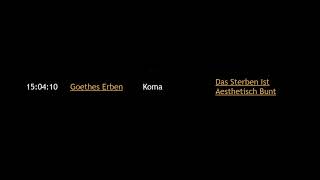 Goethes Erben Koma   8 - 24 --WITH LYRICS,  DID THE BEST I COULD