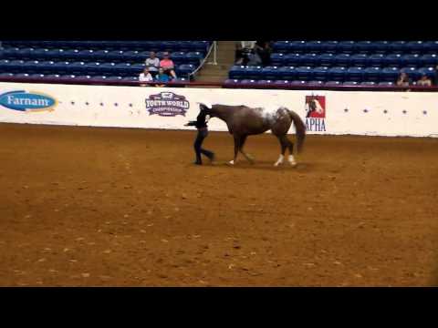 2015 FREESTYLE SHANKLESS SHOWMANSHIP CHAMPIONS