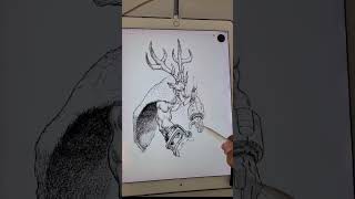 Apple notes freehand drawing.