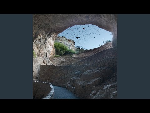 Space Witch (Her Wild Eyes)