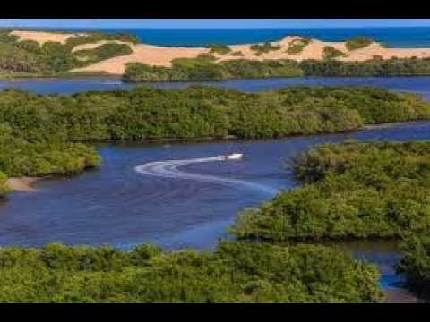 Senador Georgino Avelino, município com algo em torno de 4.070 pessoas