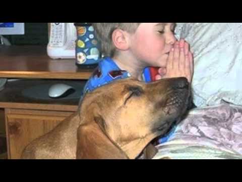 The Laughrica Project - Clean Humor | Volume 6