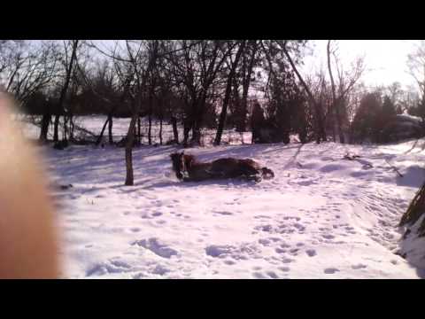 Boboteaza valcelele 2015