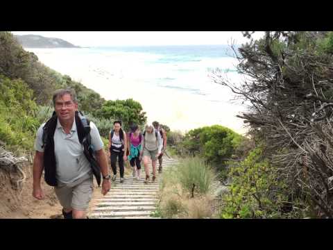 The Great Ocean Walk