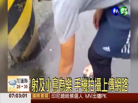 BB槍射電桿小鳥 PO網炫耀觸法