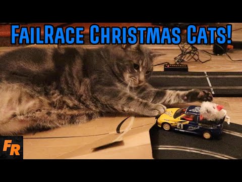 FailRace Christmas Cats!