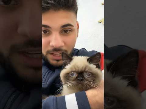 Alle haben Angst vor ihm 😂 I Asuti