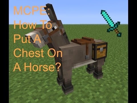 download lagu mp3 mp4 Horse Chest, download lagu Horse Chest gratis, unduh video klip Horse Chest