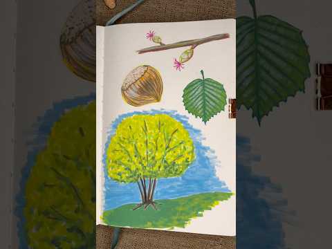 Botanical drawing of a Hazel tree, Artistrio Acrylic Markers in the Primrosia watercolor journal