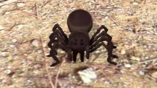 preview picture of video 'Halloween Spider - Blender Animation'