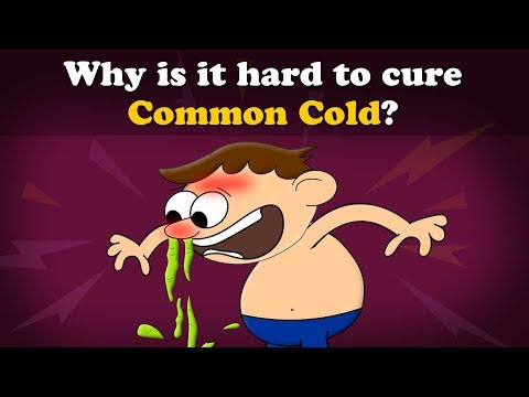Why is it hard to cure Common Cold? | #aumsum
