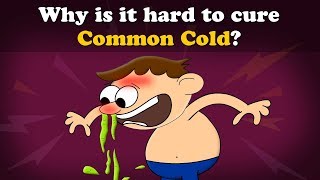 Why is it hard to cure Common Cold? + more videos | #aumsum #kids #science #education #children