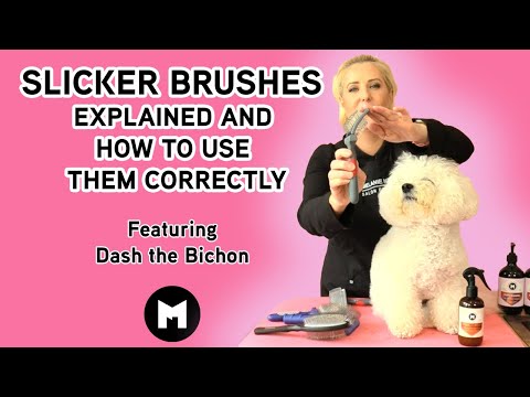 Slicker brushes explained and how to use them correctly.