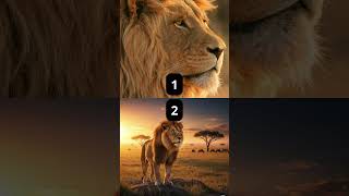 Você consegue identificar qual imagem é REAL e qual foi gerada por IA?