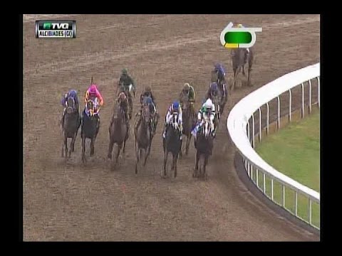 2014 Alcibiades Stakes