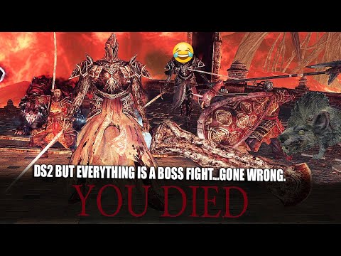 I Think I Found An IMPOSSIBLE Task..- Dark Souls 2 ALL BOSSES RUN (Funny Moments 12)