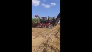 Wan Sugar cane farm Laos