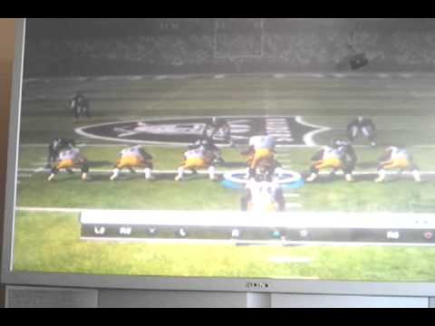 Great catch by Hines Ward