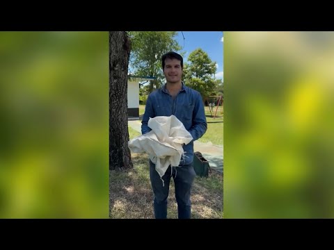 #Misiones con Recolección Diferenciada: lanzamiento de prueba piloto en Cerro Corá