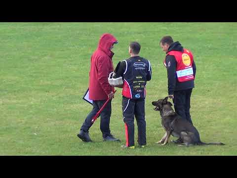 WUSV 2021  USA 4 - CHRIS MEVERDEN & ARIK VON DER SNIVELY HAUS  C 93