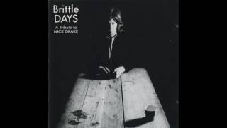Nikki Sudden & The French Revolution - Time Has Told Me - Brittle Days - A Tribute To Nick Drake
