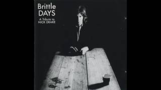 Nikki Sudden & The French Revolution - Time Has Told Me - Brittle Days - A Tribute To Nick Drake