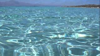 GLORIA GAYNOR - LET ME KNOW.wmv