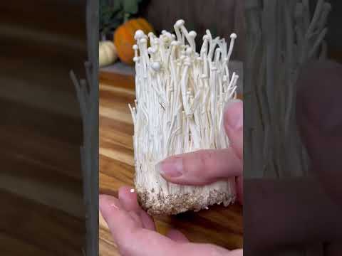THE ENOKI MUSHROOM