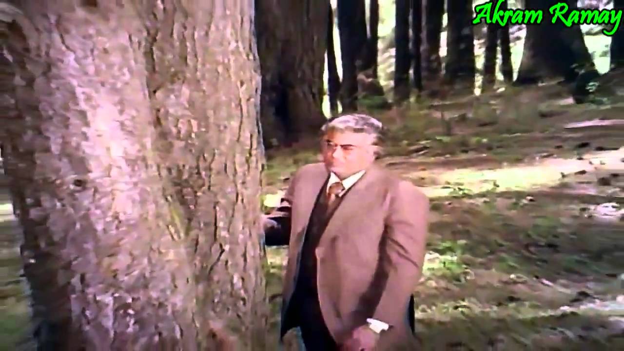 Dil Dhundhta Hai Fir Wahi Fursat Ke Raat Din (Happy) Lyrics | Mausam | Lata Mangeshkar, Bhupinder Singh | Madan Mohan