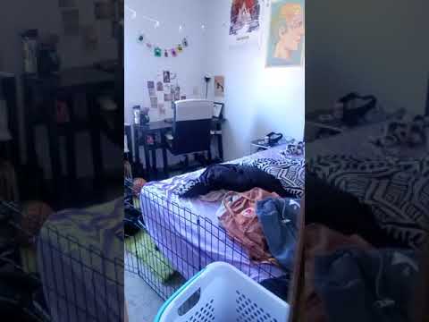 2420/2422 E Street - Video 2 of 2