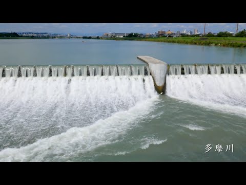 東京都調布市への移住【メリットやデメリット】｜移住マップ
