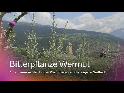 Bitter remedies for more vitality and joy of life - wormwood - reflections with Olaf Rippe