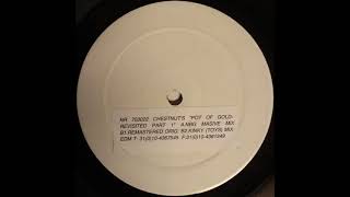 Chestnut ‎– Pot Of Gold (kinky Mix By Ferry Corsten)