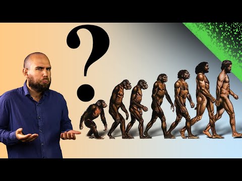 "Ma se Discendiamo dalle Scimmie, perché ci sono ancora le Scimmie?"