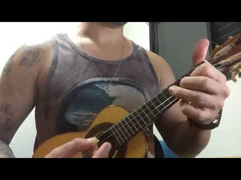 Meu Samba Pegou Voce - Fino Trato