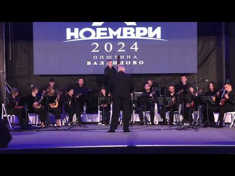 Mandolin Orchestra Polifonija - More sokol pie