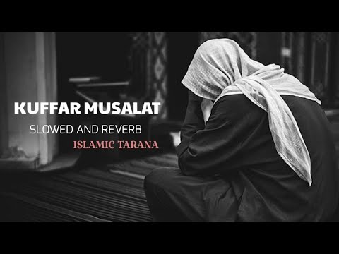 Kuffar musalat new islamic tarana slowed & reverb | kash lofi |