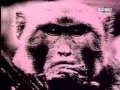 Mano negra-King Kong Five-PUTA'S FEVER 