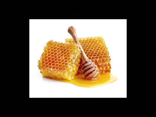 Vins et étiquettes – La fête des pères