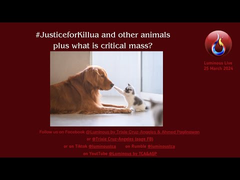 Justice for Killua + critical mass