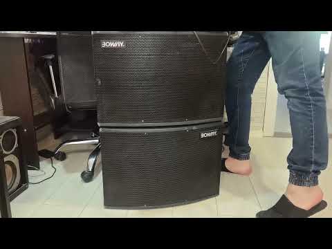 фото колонки boway bw-108 150вт 0