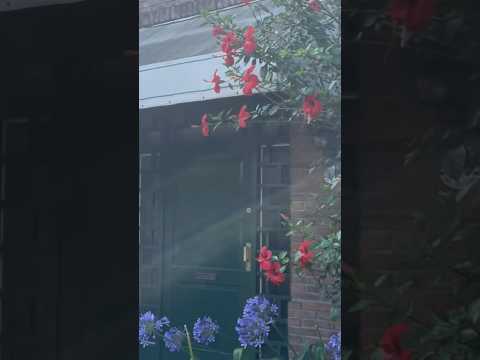 Centro de Adrogué, Almirante Brown. Provincia de Buenos Aires 🇦🇷