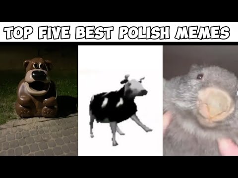 Top 5 best polish memes