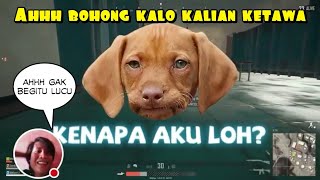 Download lagu TRY NOT TO LAUGH - MILYHYA 100%KEBODOHAN~PUBG INDONESIA mp3 Download lagu TRY NOT TO LAUGH - MILYHYA 100%KEBODOHAN~PUBG INDONESIA mp3