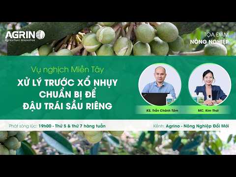 Tọa đàm sầu riêng - Agrino: VỤ NGHỊCH MIỀN TÂY -  XỬ LÝ TRƯỚC XỔ NHỤY, CHUẨN BỊ ĐỂ ĐẬU TRÁI SẦU RIÊNG