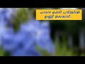 Poovay Virinju Malayalam Movie Song Lyrical Video Adharvam Movie