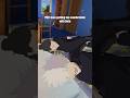 Gojo Tryna Sleep With Geto Now Vrchat Jujutsukaisen Anime